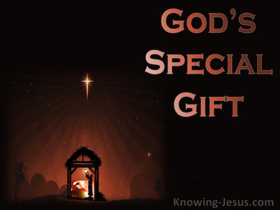 God's Special Gift (devotional)08-20  (brown)